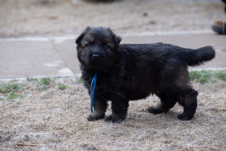 DSC_4298-Mejorado-NR