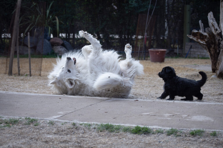 DSC_4307-Mejorado-NR