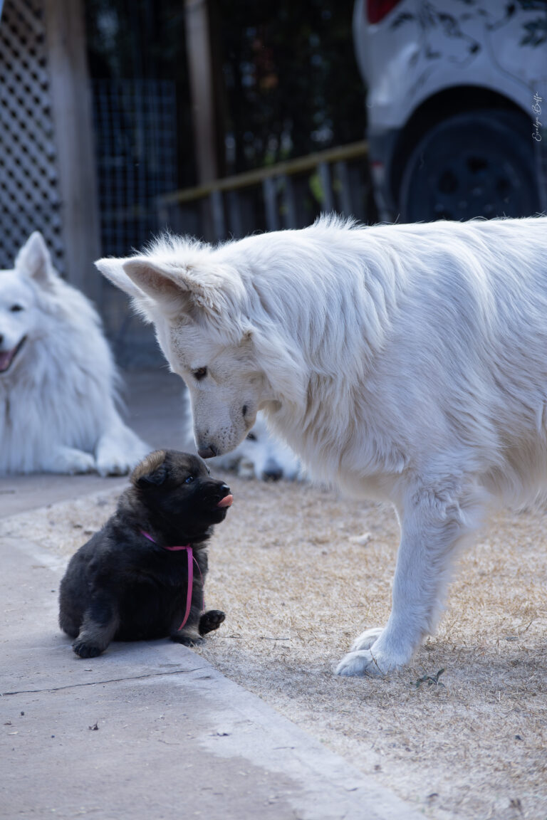 DSC_4315-Mejorado-NR