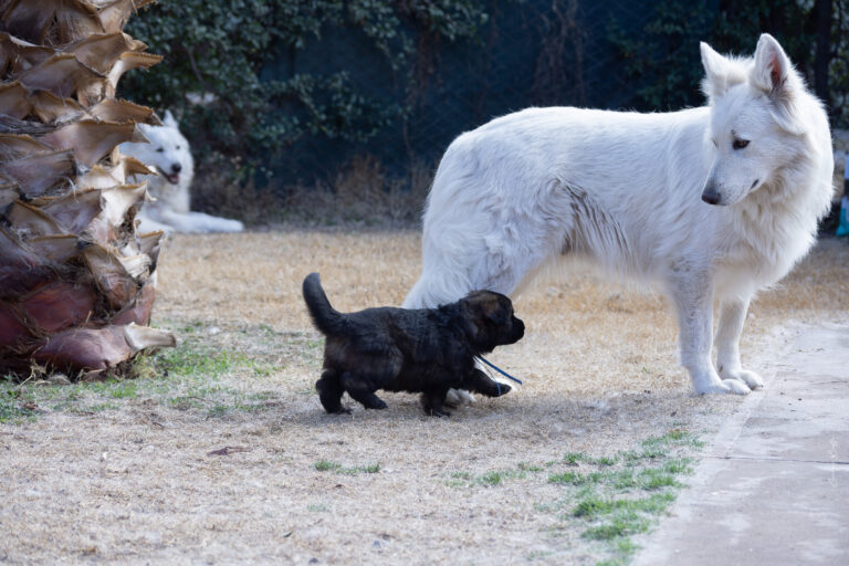 DSC_4317-Mejorado-NR