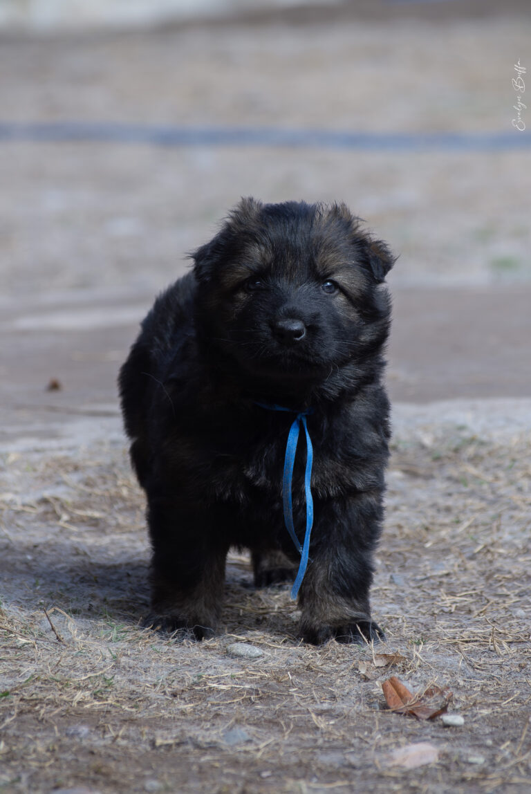 DSC_4321-Mejorado-NR