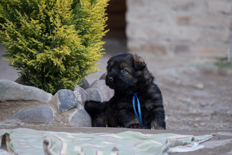 DSC_4333-Mejorado-NR