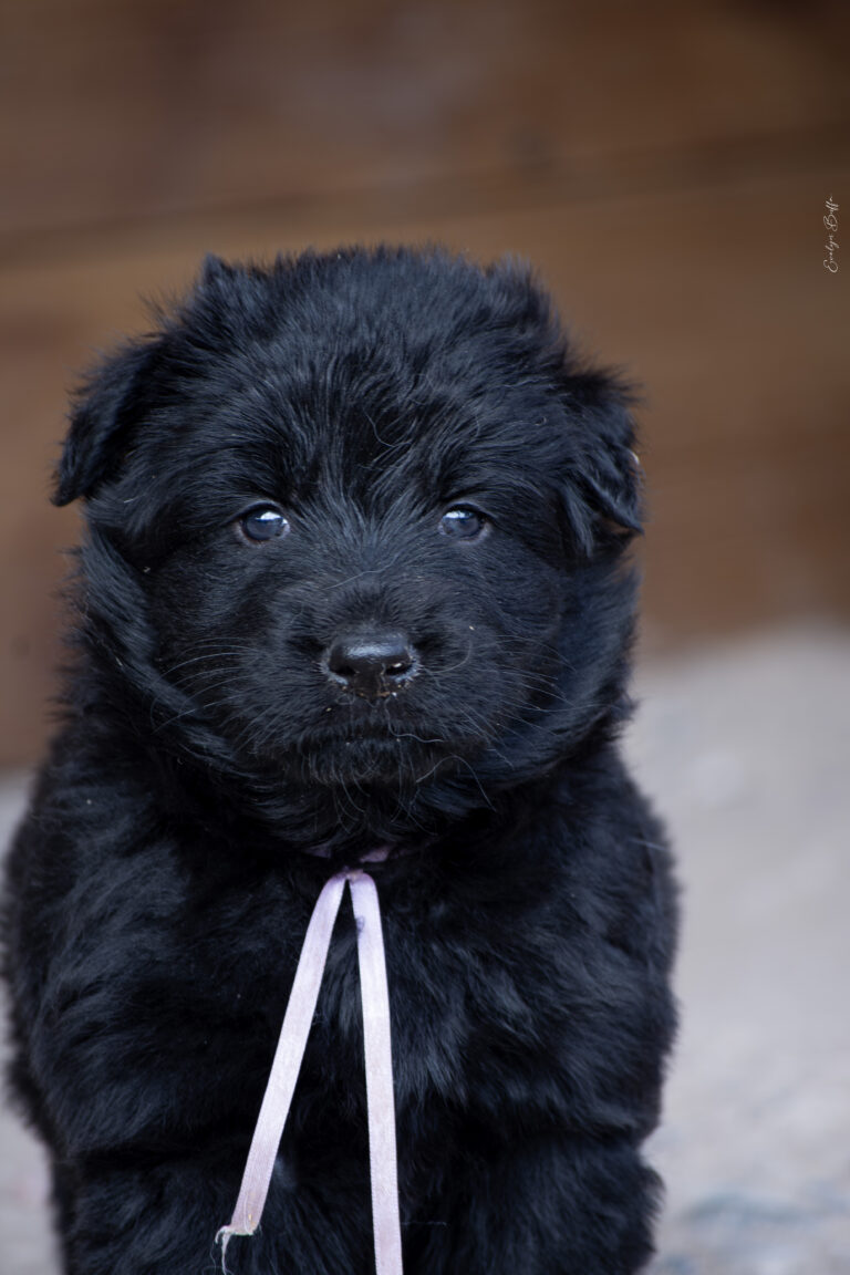 DSC_4338-Mejorado-NR