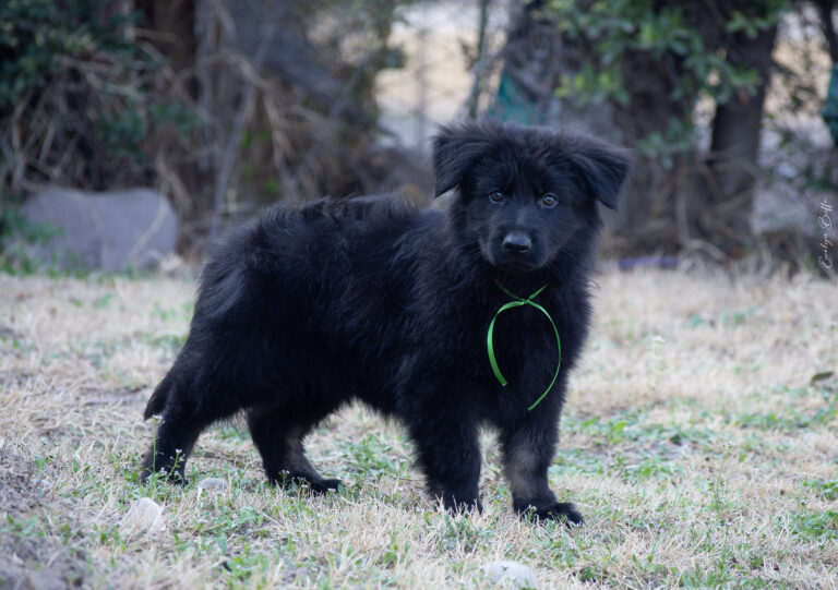 DSC_4341-Mejorado-NR