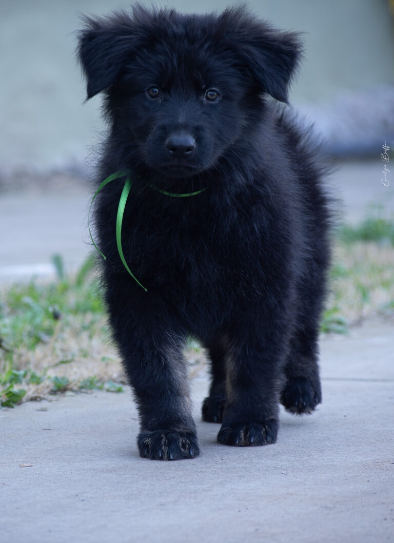 DSC_4348-Mejorado-NR