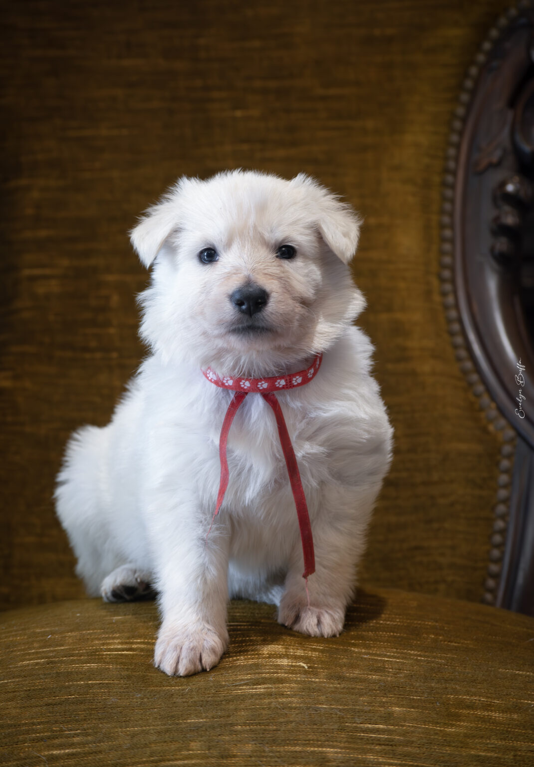 DSC_5224-Mejorado-NR