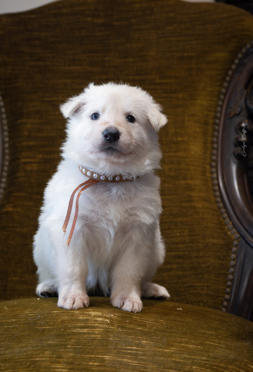 DSC_5234-Mejorado-NR