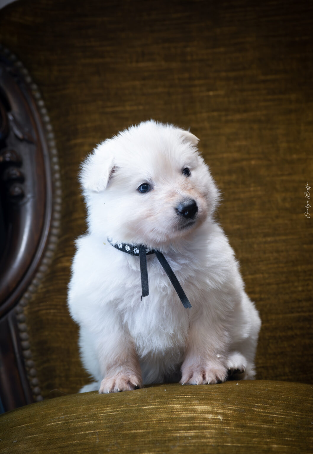 DSC_5247-Mejorado-NR