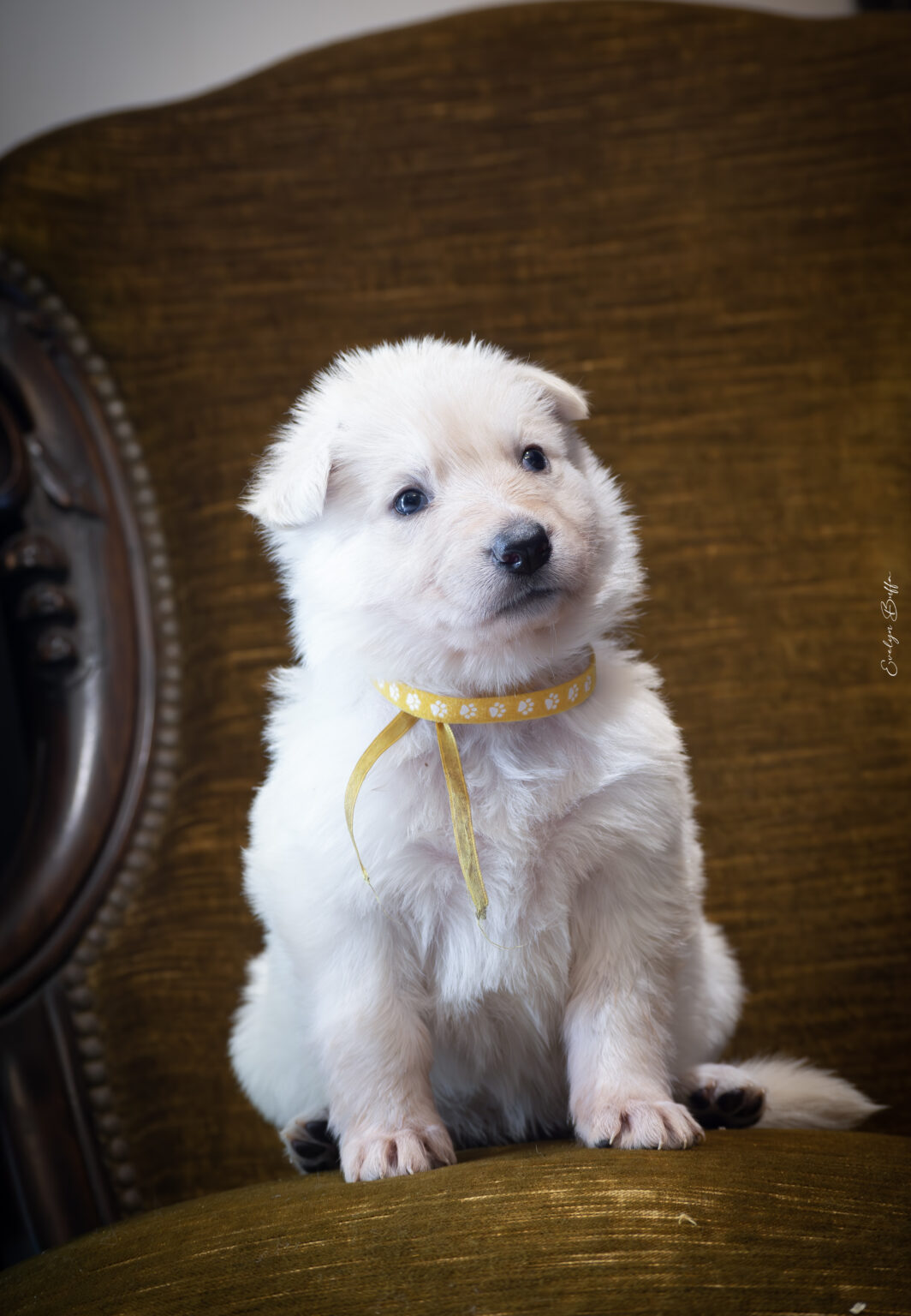 DSC_5251-Mejorado-NR