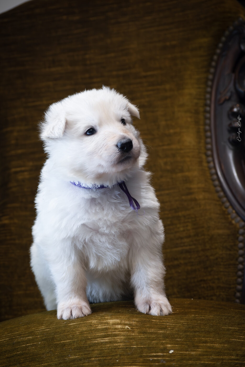 DSC_5255-Mejorado-NR