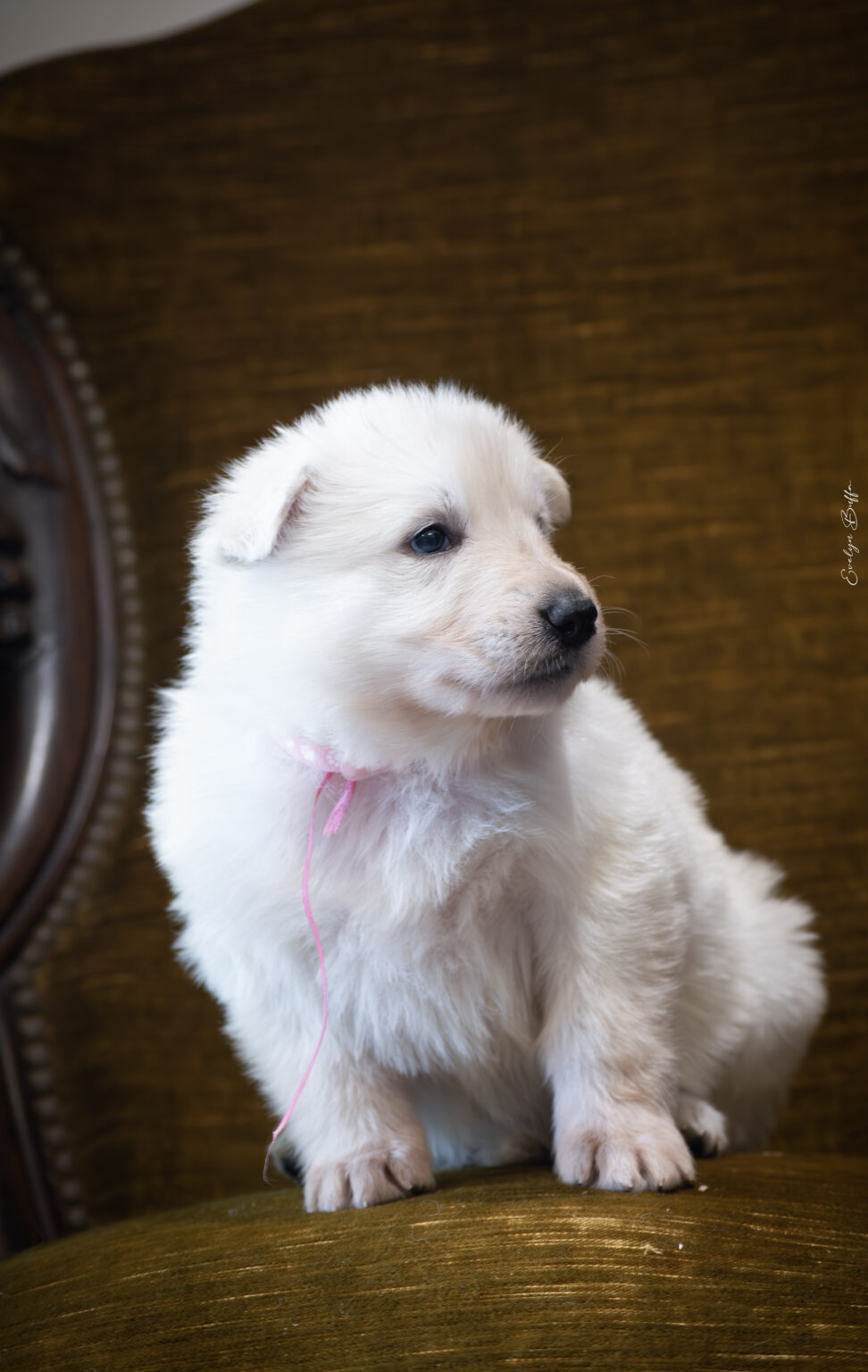 DSC_5258-Mejorado-NR