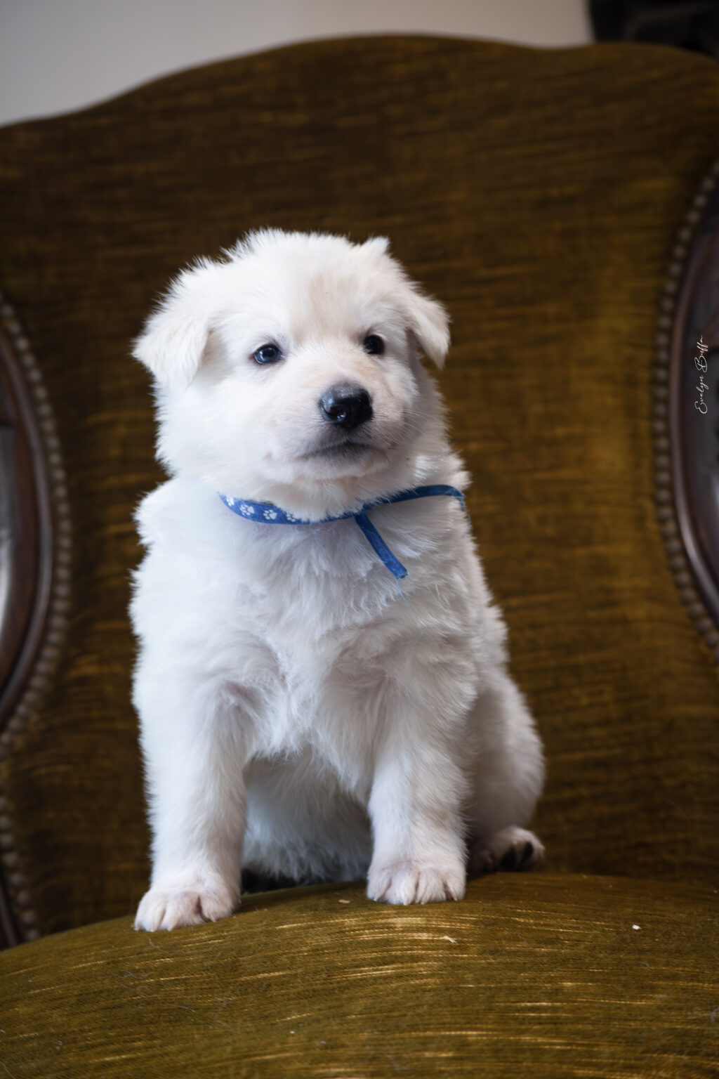 DSC_5264-Mejorado-NR