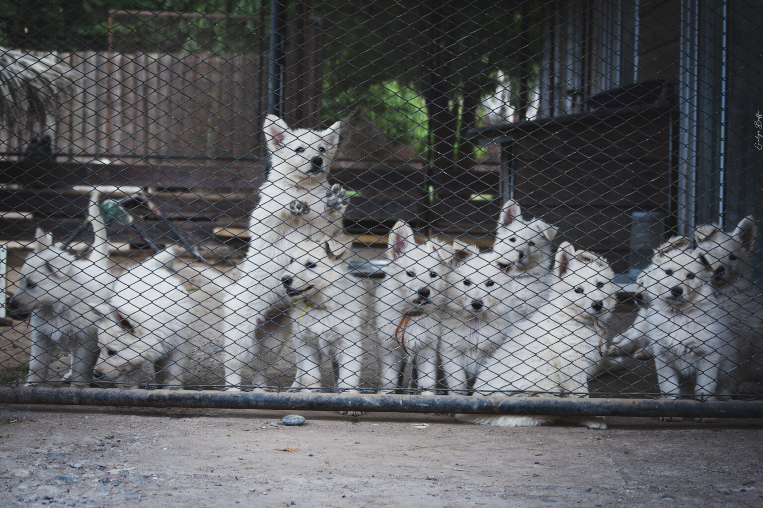 DSC_5812-Mejorado-NR