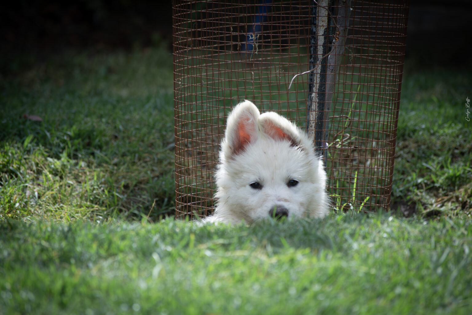 DSC_5847-Mejorado-NR