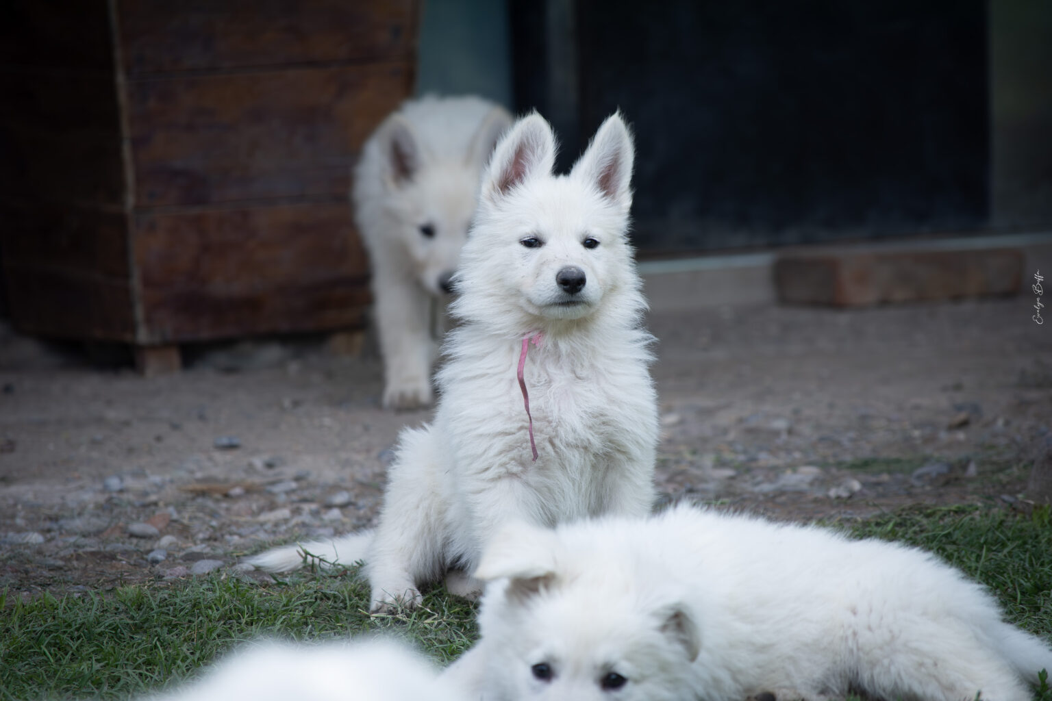 DSC_5867-Mejorado-NR