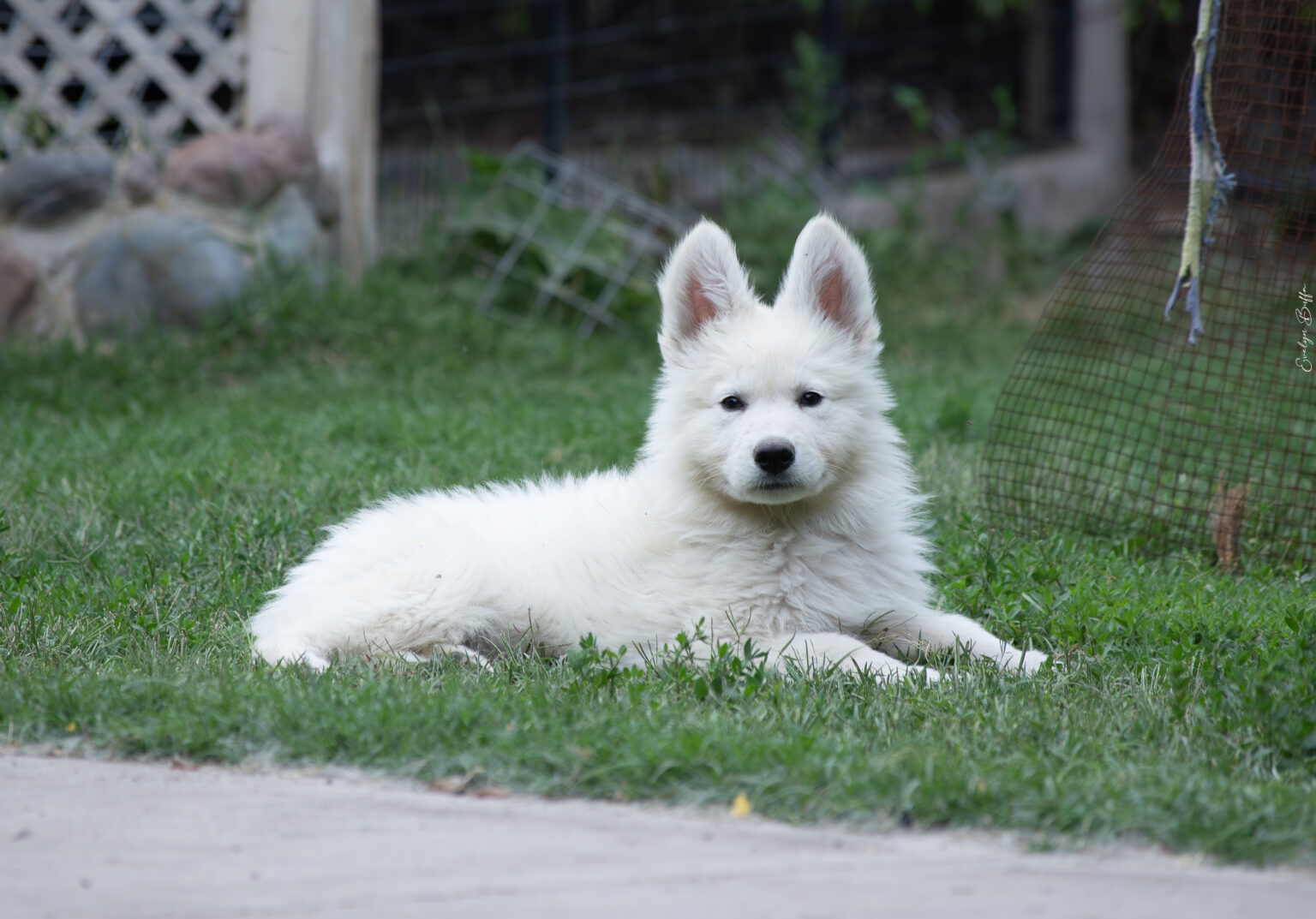 DSC_5993-Mejorado-NR